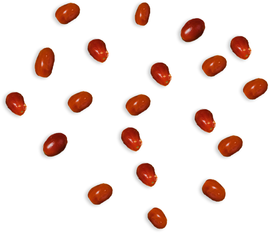 Vyšniniai pomidoriukai 30g 24cm paveikslėlis
